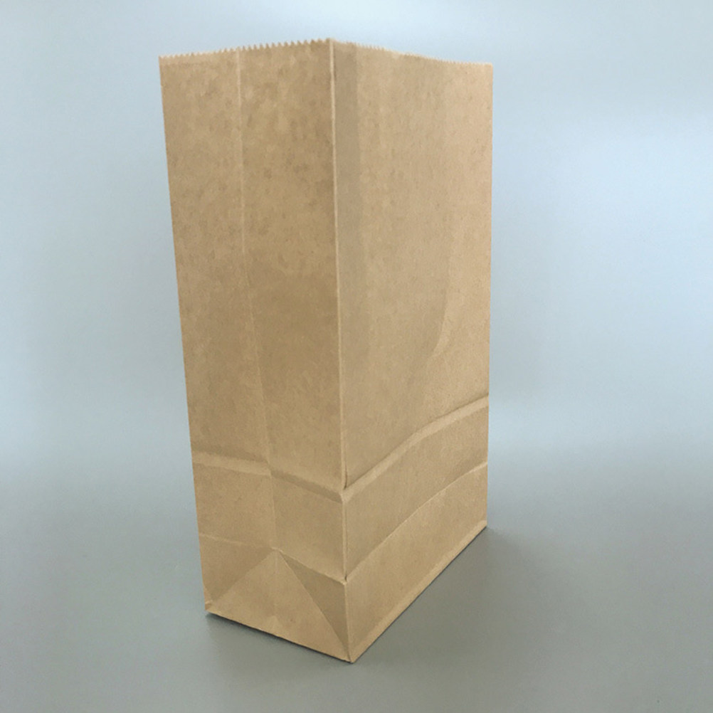 100pcs Kantong Kertas Kraft Uk - Food Storage Bag ulasan dan harga