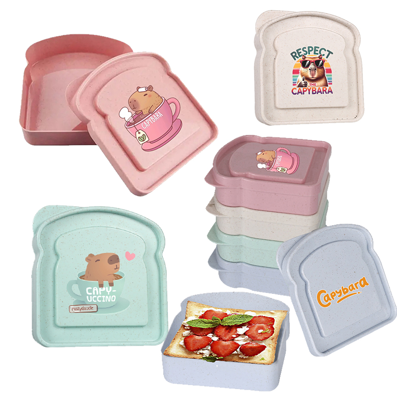 Kotak Penyimpanan Makanan Sand - Food Storage Lunch Box ulasan dan harga