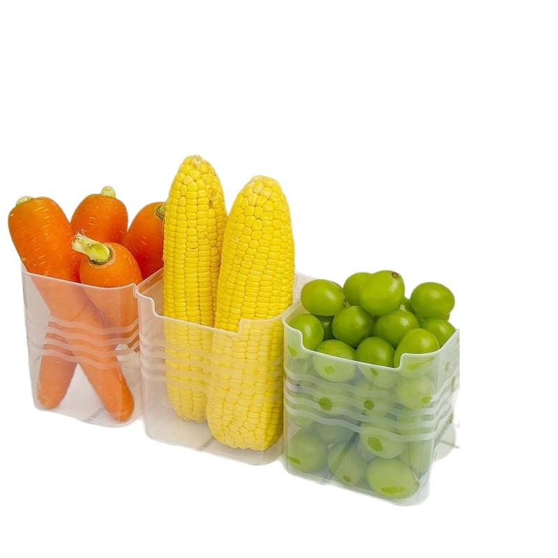 # Kotak Penyimpanan Makanan Ku - Food Storage Containers Plastic Box ulasan dan harga