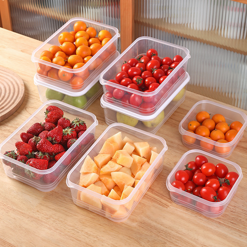 Kotak Penyimpanan Makanan Keda - Food Storage Frozen ulasan dan harga